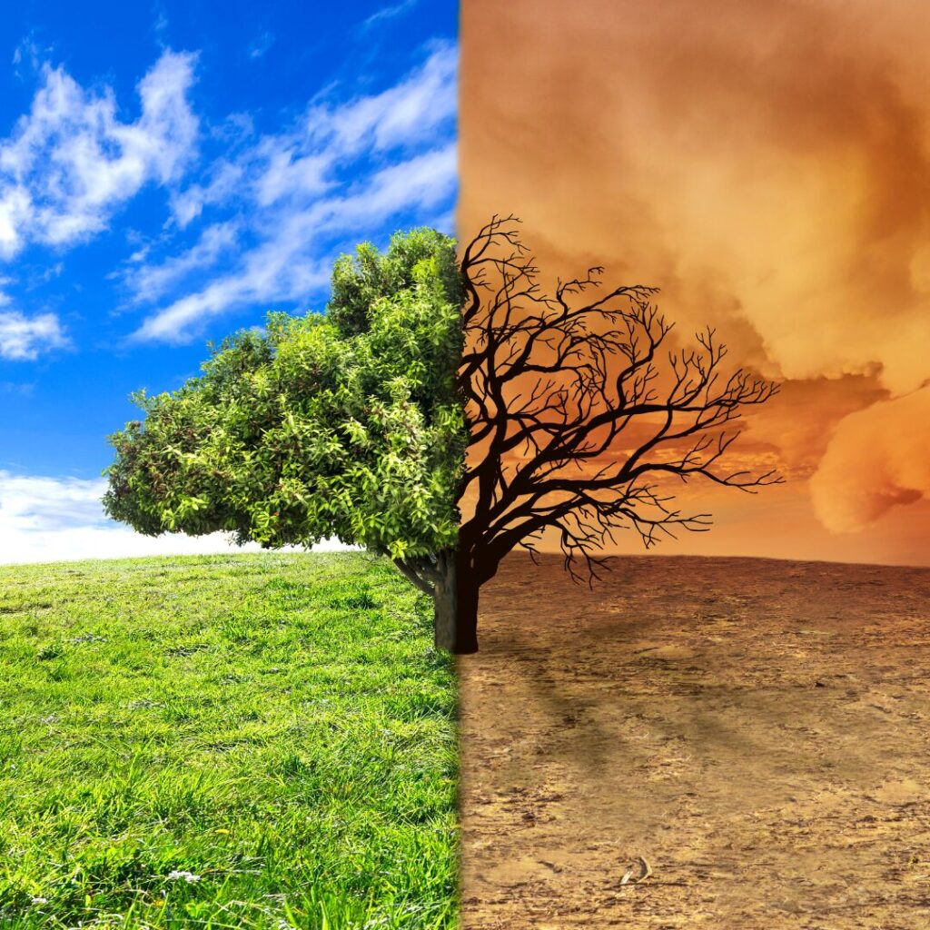 O impacto das mudanças climáticas na logística de medicamentos