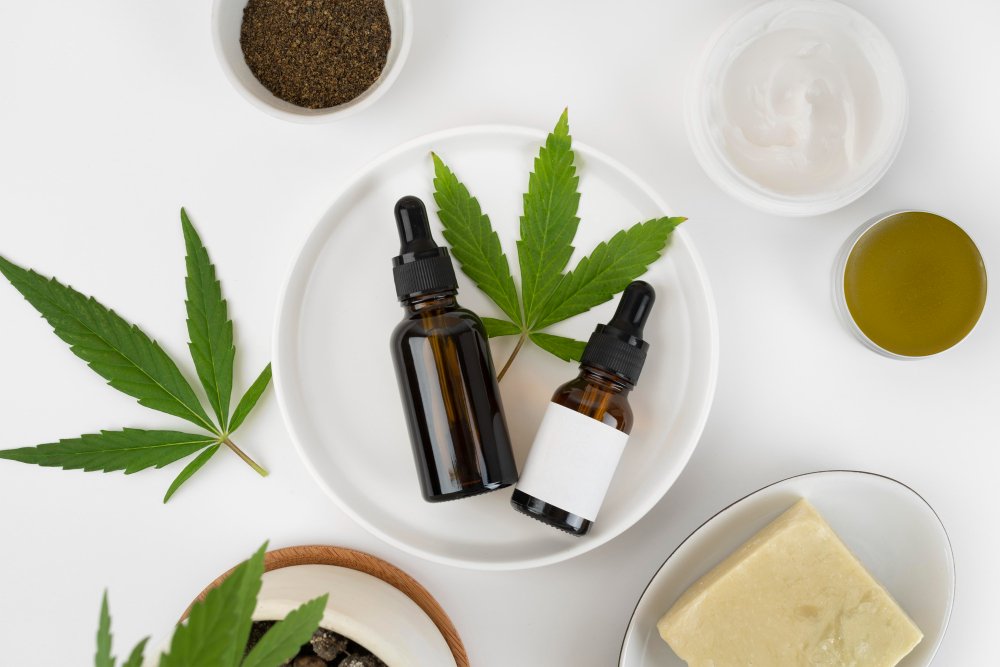 Cannabis medicinal no Brasil: o que mudou, para quais doenças é indicada e os desafios que ainda precisam ser resolvidos 